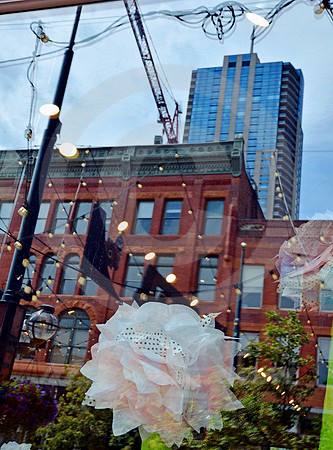 FLOWERS & LIGHTS IN WINDOW (Lincoln Highway Denver CO)