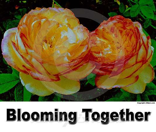 Blooming Together