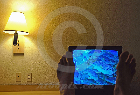 TOE VISION #225 (Budget Motel)