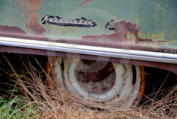 AMBASSADOR IN WEEDS (Rt 66 Tucumcari NM)
