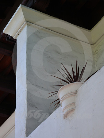 THE POTTED PLANT (Santa Barbara CA)