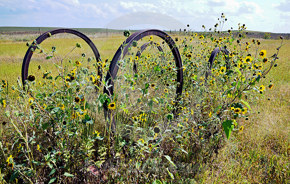 WAGON WHEELS #3 (Lincoln Highway nr Sutherland NE)