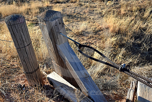 DYNAMIC TENSION (Rt 66 nr San Jon NM)