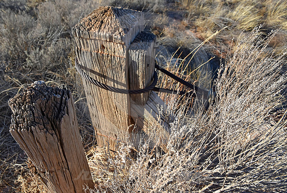 WEATHERED WOOD AND STEEL (Rt 66 nr San Jon NM)