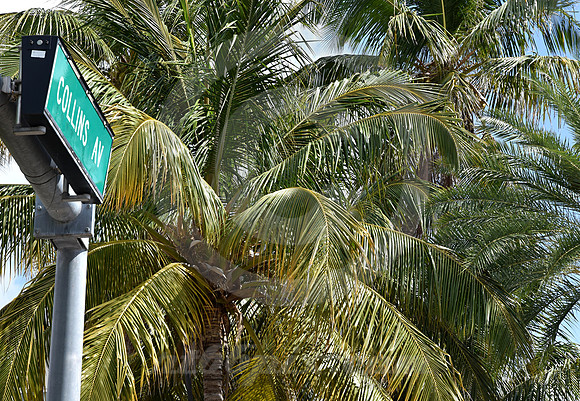 MIAMI BEACH #180 (Miami Beach FL)