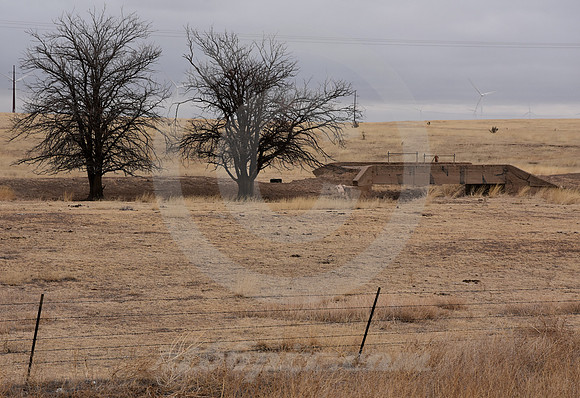 DIRT 66 GRAFFITI #3  (Rt 66 nr Vega TX)