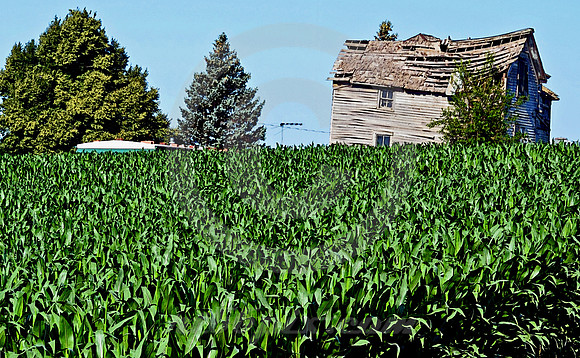 COLLAPSING FARMHOUSE (Lincoln Highway nr Carroll IA)