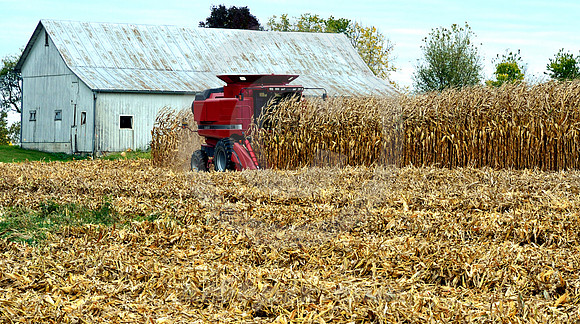 COMBINE AND CORN (Lincoln Highway nr Oceola OH)