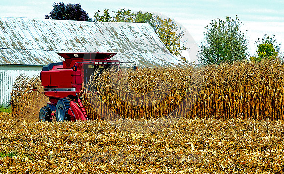 COMBINE AND CORN-DETAIL (Lincoln Highway nr Oceola OH)