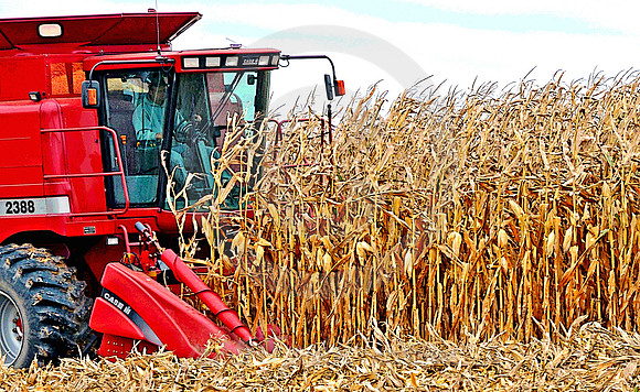 COMBINE & CORN-DETAIL #2 (Lincoln Highway nr Oceola OH)