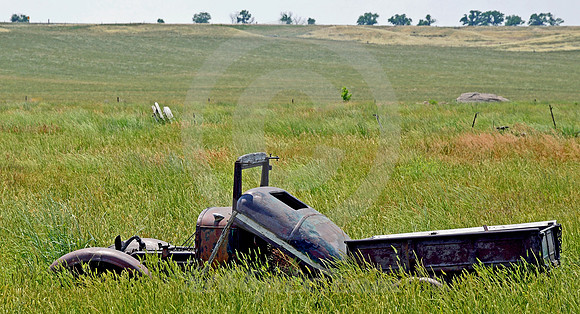 OUT TO PASTURE (Lincoln Highway nr Egbert WY)