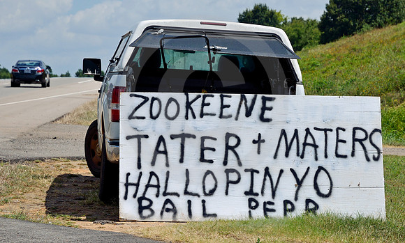 VEGGIE PHONETICS (nr Mineola TX)