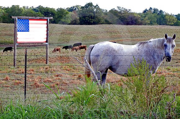 METAL FLAG AND HORSE (South-East OK)