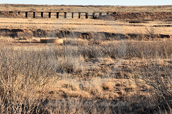 DISTANT TRESTLE (Rt 66 nr Endee NM)