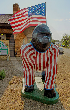 FLAG DAY (Floydada TX)