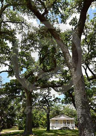 BILOXI #29 (Biloxi MS)