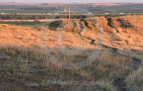 CALIFORNIA HILL #4 (nr Brule NE)