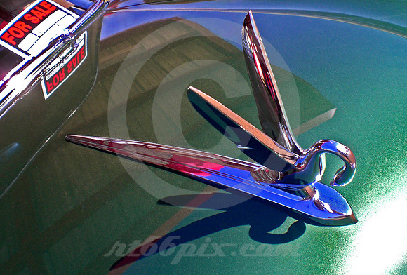 FOR SALE SIGN, CORMORANT HOOD ORNAMENT ('51 Packard) (Nacogdoches TX)