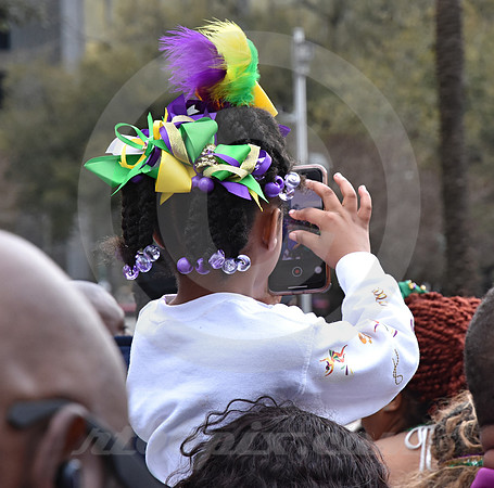 MARDI GRAS #274 (New Orleans LA)