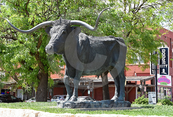 DODGE CITY #8 (Dodge City KS)