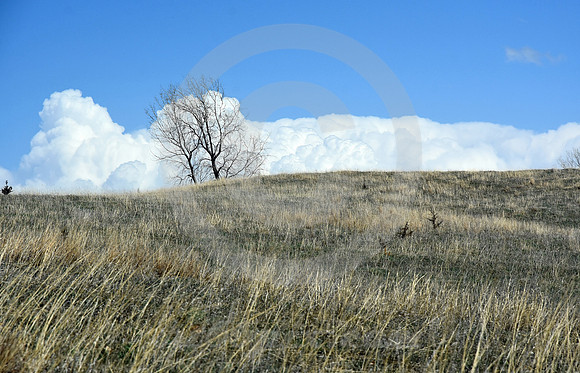 HILLSIDE SWALES (nr Troy KS)