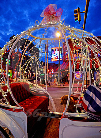 BEALE STREET #202 (Memphis TN)