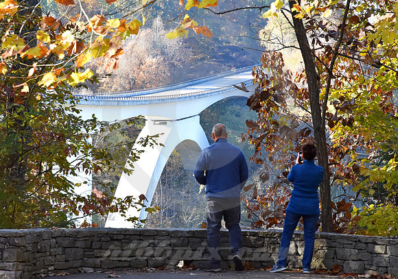 DOUBLE-ARCH #22  (Natchez Trace nr Linton TN)