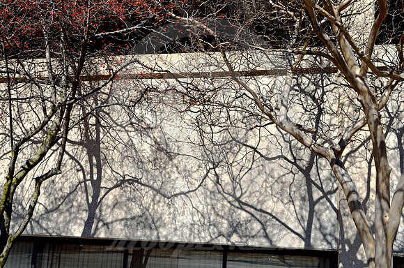 URBAN SCENE #70 (Memphis TN)