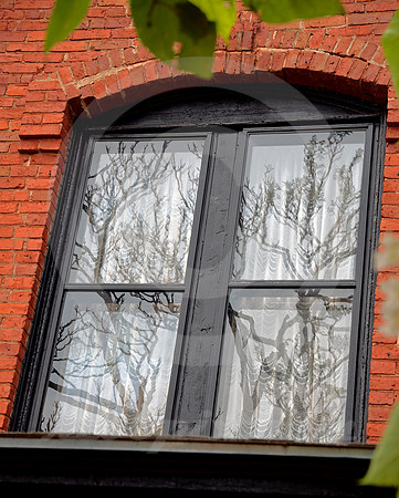 TREE REFLECTIONS (Guthrie OK)