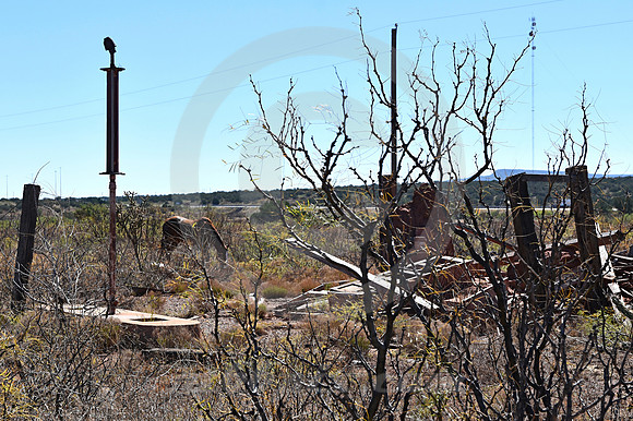 HORSE PASTURE (Rt 66 Newkirk NM)