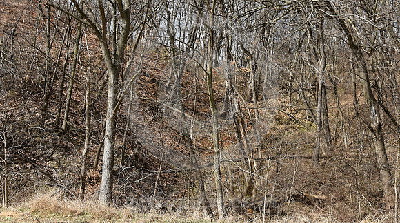 FIRST HILL IN KANSAS (nr Wathena KS)