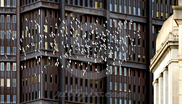 URBAN SCENE #4 (Lincoln Highway Pittsburgh PA)