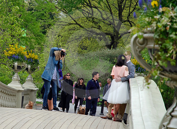 CENTRAL PARK #87 (New York)