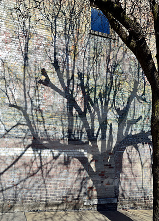 URBAN SCENE #75 (Memphis TN)