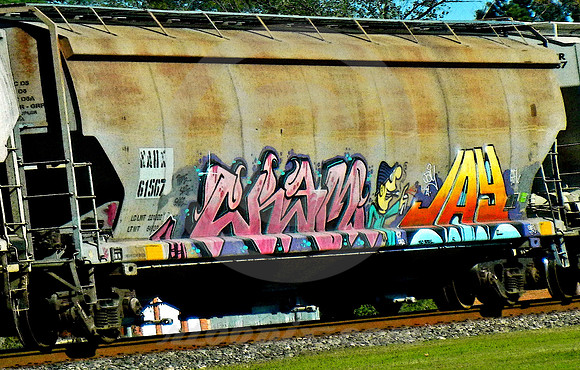 SPRAY JAY (East TX)