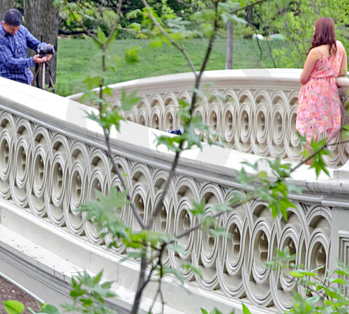 CENTRAL PARK #88 (New York)