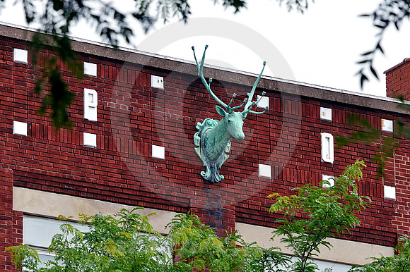 ELK ON WALL (Lincoln Highway Clinton IA)