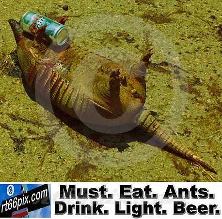 Must. Eat. Ants. Drink. Light. Beer.