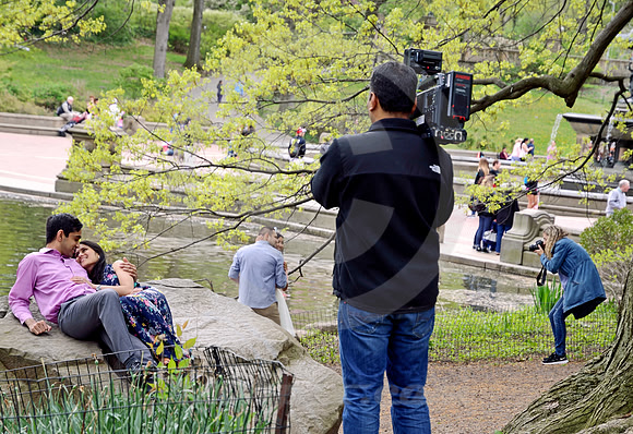 CENTRAL PARK #2 (New York)