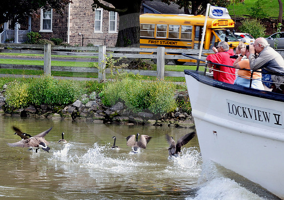 COMING THROUGH (Erie Canal Lockport NY)