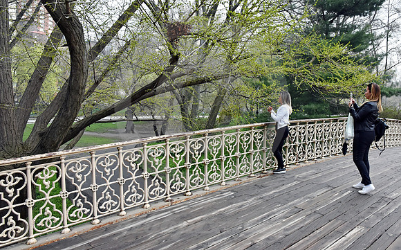 CENTRAL PARK #76 (New York)