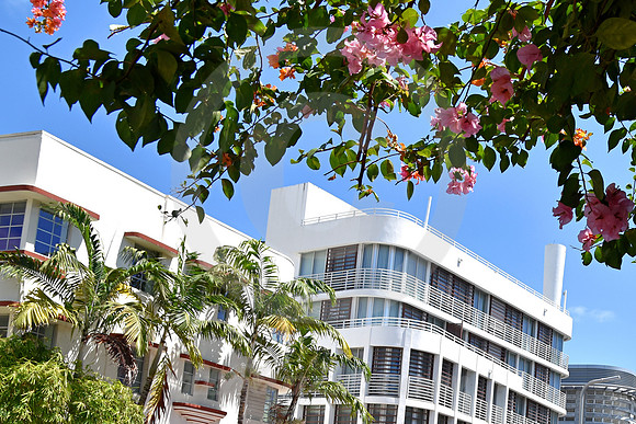 MIAMI BEACH #765 (Miami Beach FL)