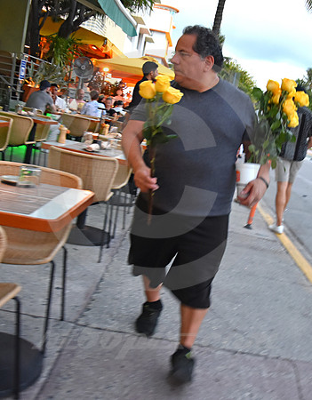 MIAMI BEACH #344 (Miami Beach FL)