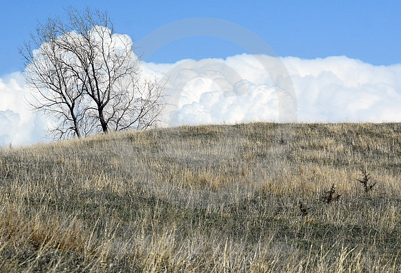 HILLSIDE SWALES #2 (nr Troy KS)