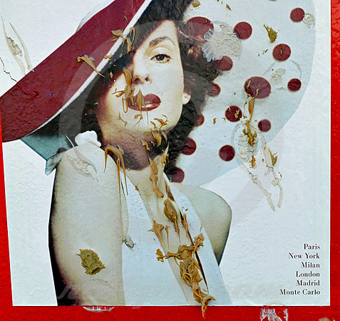 MISS LIQUID NAILS 1950 (Memphis TN)