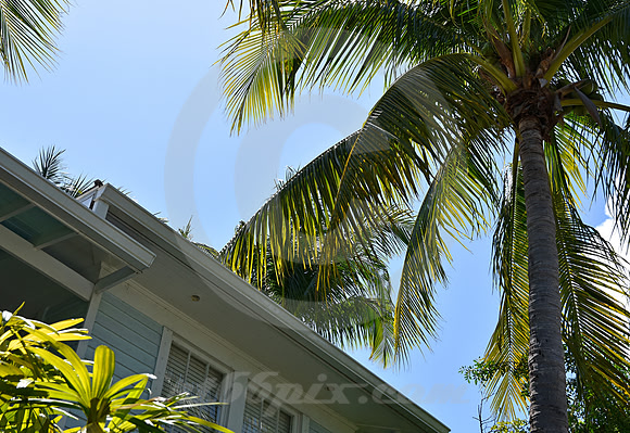 KEY WEST #77 (Key West FL)