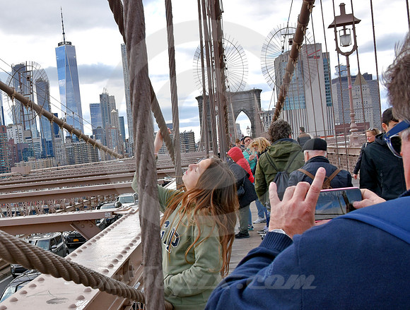 BROOKLYN BRIDGE #47 (New York)