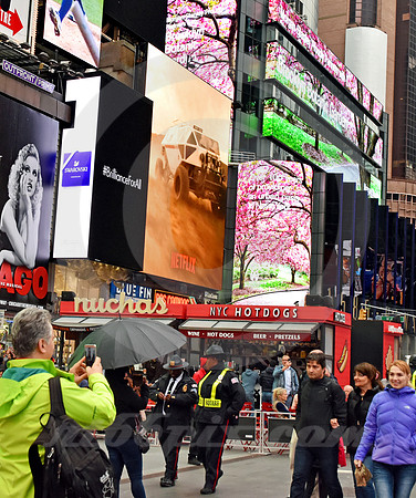 TIMES SQUARE #788 (Lincoln Highway New York)
