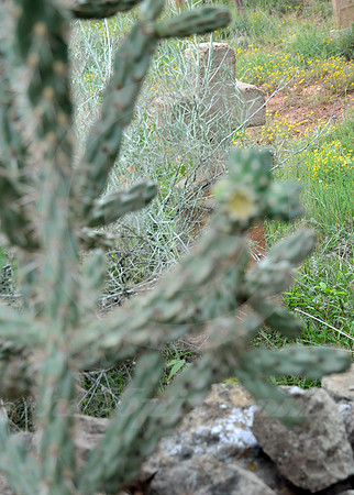 RESTING PLACE (Rt 66 Canoncito NM)