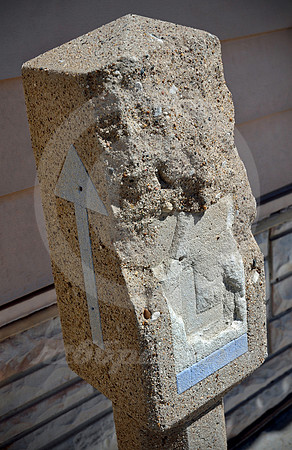 SURVIVOR (Lincoln Highway McGill NV)